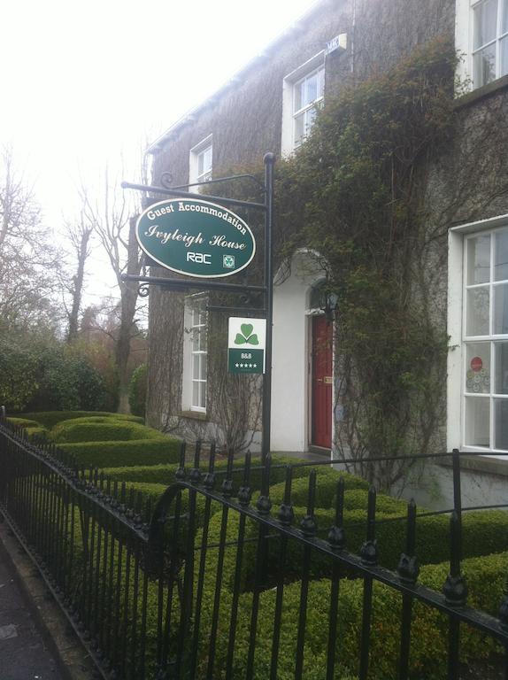 Bed and Breakfast Ivyleigh House Port Laoise Exteriér fotografie